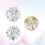 -Schnallenclips - -Accessoires 7