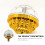 1St Rotierbare Mini LED Bühnenleuchte Gold 11