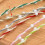 1Rouleau Ruban Artisanat Avec Perles Pour Cadeaux 3