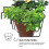 Garden Plant Stand Hanghouders 11
