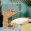 Parrot Feeder Vogelzubehör Mit Schneidemagnet 9