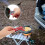 Backpacking Panhanteer Van Aluminiumlegering 1 Set 5