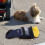 Hondewielstoel Achterpoten Met Multi Polyester En Hout 1 5