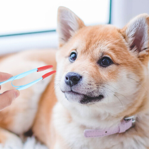 Pet Pflegebürste Kompakt Haarkamm 2 1