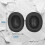Ohrpolster 1 Paar JBL LIVE 500BT Black 2