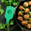 Meatball Maker Tongs Green Plastic Smooth Surface Easy To Use 4