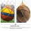 12 Stks Draagbare Voetbalzak Basketbal Mesh Nylon 10