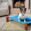 Raindrops 2 Hond En Kat Trainingsmat 90,00X75,00X0,30 Cm 3