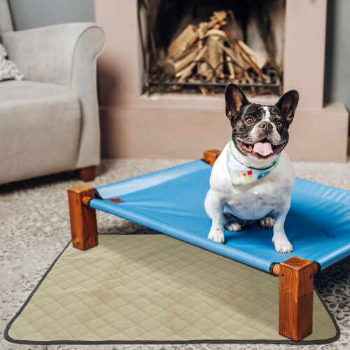 Raindrops 2 Hond En Kat Trainingsmat 90,00X75,00X0,30 Cm 2