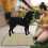 Raindrops 2 Hond En Kat Trainingsmat 90,00X75,00X0,30 Cm 4