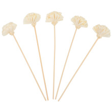 5 Rattan Diffuserstäbchen Für Zu Hause Nelkenblüten Rattan