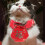 Cloak Tie Herbst Winter 4