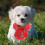 Cloak Tie Herbst Winter 8