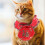 Cloak Tie Herbst Winter 3
