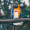 Parrot Bird Weiße Baumwollstoff Zu Set 10