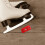 2 Skateboard Hockey Skateboards Eisschleifer 4