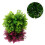2 Stuks Kunstmatig Grasbal Plastic Plafond 5