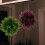 2 Stuks Kunstmatig Grasbal Plastic Plafond 9