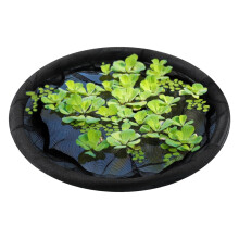 Floating Flora Fish Barrier 31.5-Inch Floating Pond Round Corral With Lifting Ring Fine Mesh Polyester Plant Protector