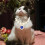 Katzenhalsband Dekorative Haustieraccessoires 1 11