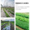 Grasschutz Kunststoff Gartenbedarf 9