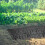 Grasschutz Kunststoff Gartenbedarf 11