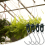 Greenhouse clamps with S-hooks, 50-pack 5