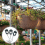 Greenhouse clamps with S-hooks, 50-pack 3