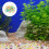 Air Stones Aquarium Sand Rhombus Leuchtend 11
