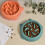 Pet Intelligence Slow Food Teller Orange 1 Set 8