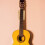 Gitaar Steun Halssteun Eva Multi 1 Stuk 10
