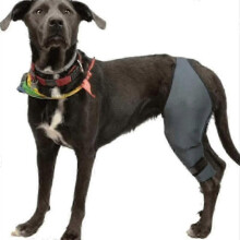 (S, left) Dog Knee Brace For Acl, Knee Cap Dislocation, Arthritis - Keeps The Joint Warm - Extra Support - Reduces Pain And Inflammation