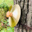 2 . Kinder-Perkussionsinstrument -Handbecken Kinder 4