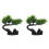 2 Pcs Sushi Plate Decorations Home Artificial Tree Restaurant Bonsai 4