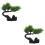 2 Pcs Sushi Plate Decorations Home Artificial Tree Restaurant Bonsai 8