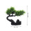 2 Pcs Sushi Plate Decorations Home Artificial Tree Restaurant Bonsai 10