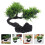 2 Pcs Sushi Plate Decorations Home Artificial Tree Restaurant Bonsai 11