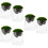 6 Moosflasche -Landschaft Glasflasche 7