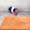 Hamster Streu Haustier Urin Isolation 1 8