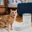 Automatic Pet Water Dispenser Katzenfutterautomat 2 Hellgrau 9