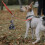 Dog Waste Bag Holder Pet Müllbeutel Clip ABS 1 3