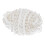 Grosgrain Lint Rand Stof Kralen Wit 6