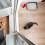 1 Keramische Kom Hamster En Kitten 8