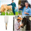 1 Set Ontwerp Paarden Verstevingsborstel 8
