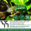 Terrarium Humidifier 360 Degree Adjustable Nozzle, Automatic Misting System, Timer And Manual Spray, USB Powered, 2200mAh 2
