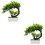 2 Künstlicher Bonsai Baum Realistischer Bonsai 8