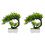 2 Künstlicher Bonsai Baum Realistischer Bonsai 4