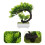 2 Künstlicher Bonsai Baum Realistischer Bonsai 11