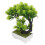 2 Künstlicher Bonsai Baum Realistischer Bonsai 3