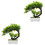 2 Künstlicher Bonsai Baum Realistischer Bonsai 5